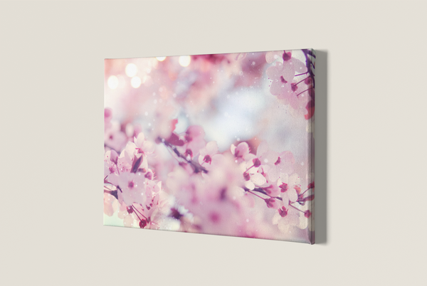 Cherry Blossom Canvas