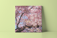 Blossom Tree Square Canvas