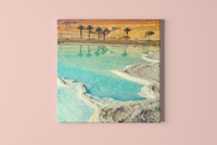 Water in the Desert Square Canvas