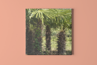 Palm Trees Square Canvas