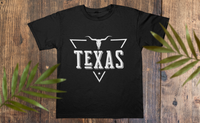 Texan Triangle